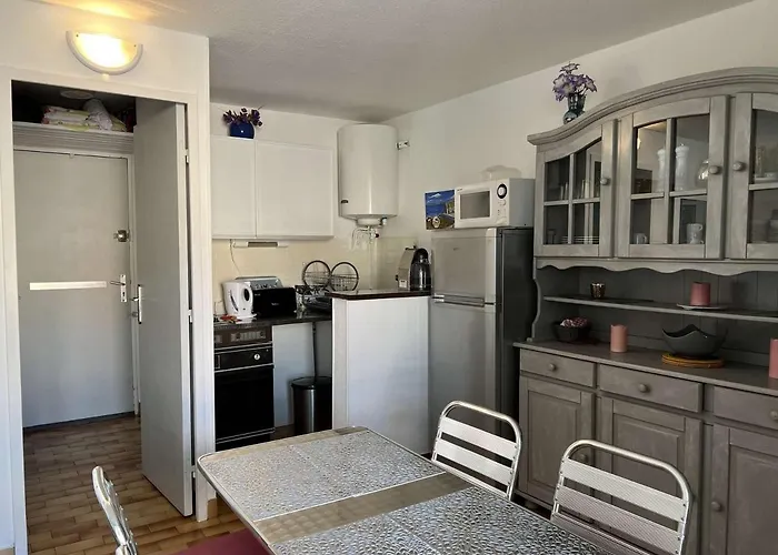 Avec Parking Et Animaux Admis, Vue Canal - Fr-1-702-13 Appartement Agde