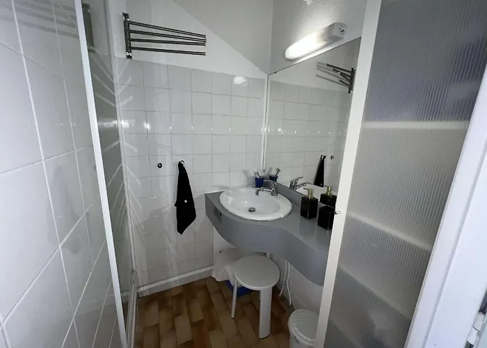 Appartement Avec Parking Et Animaux Admis, Vue Canal - Fr-1-702-13 Agde