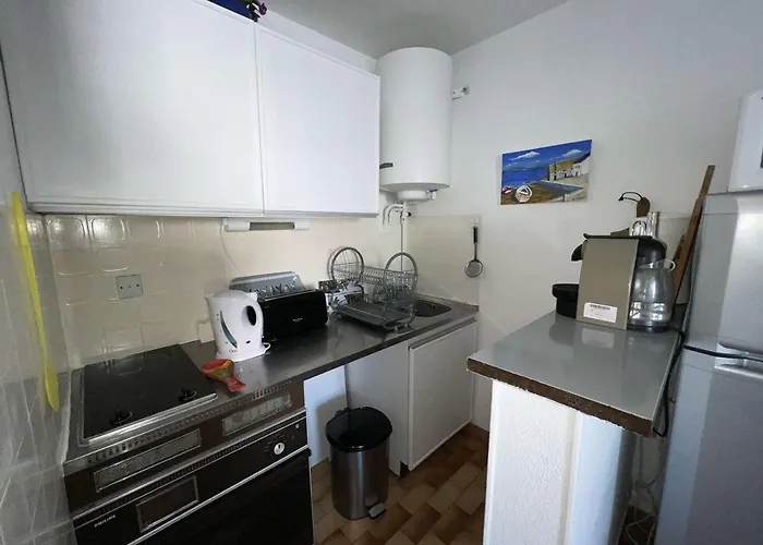 Appartement Avec Parking Et Animaux Admis, Vue Canal - Fr-1-702-13